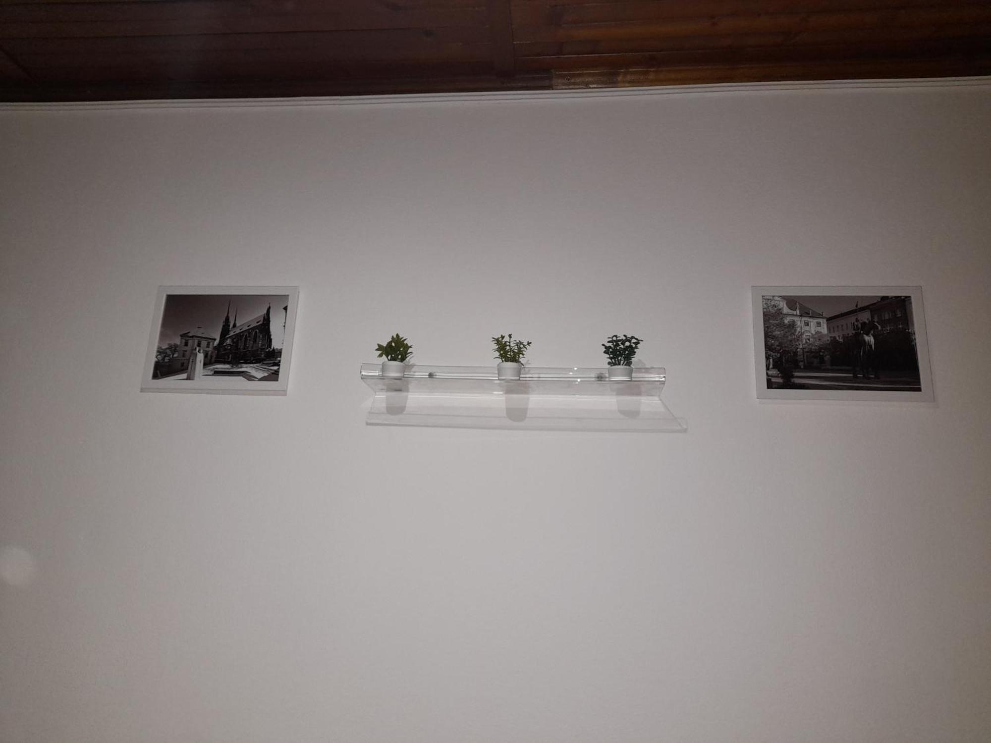 Apartments Vancurova Brno Zewnętrze zdjęcie